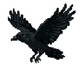 Raven