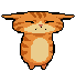 Kitty
