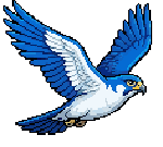 Storm Falcon