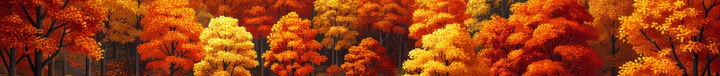 Autumn Forest
