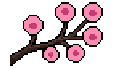 Cherry Blossom Ball